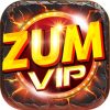 logo zumvip